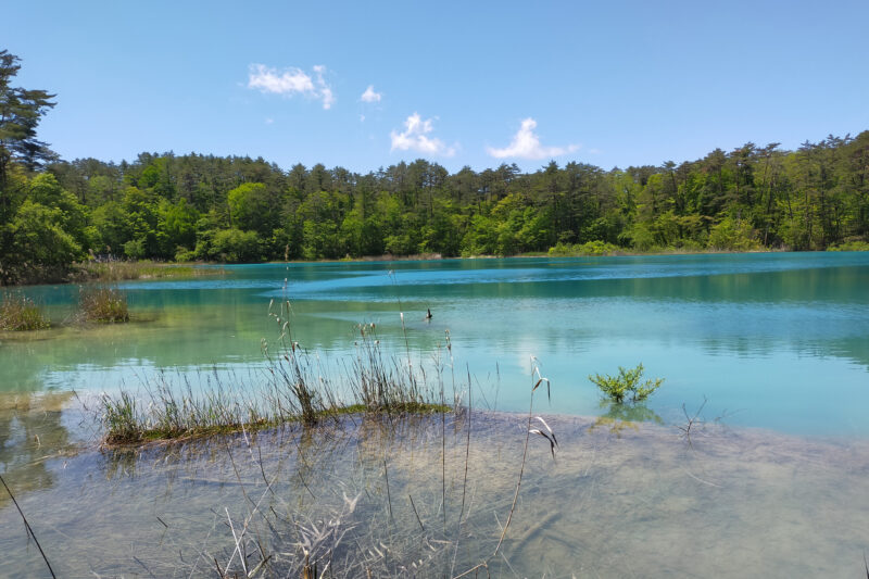 五色沼自然探勝路　弁天沼