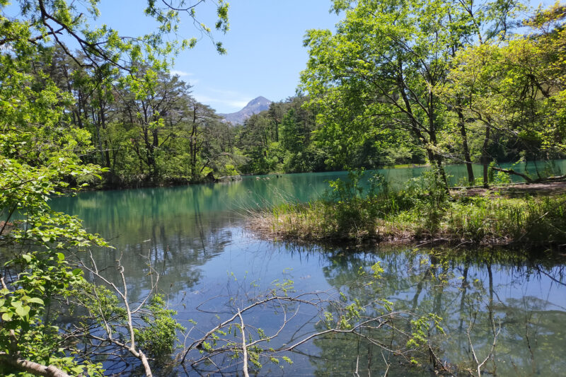 五色沼自然探勝路　毘沙門沼
