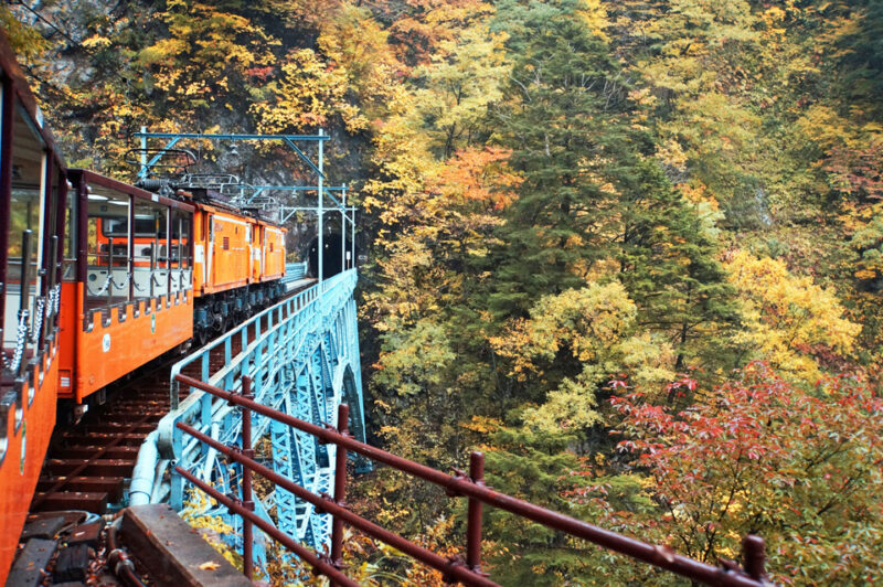 黒部峡谷トロッコ電車　トロッコ電車　紅葉
