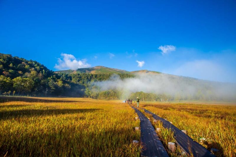 尾瀬ヶ原　草紅葉