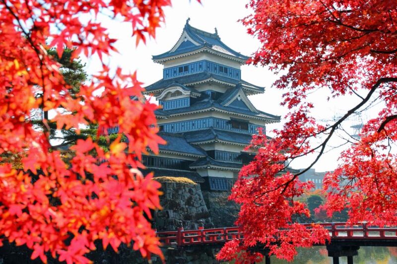 松本城　紅葉