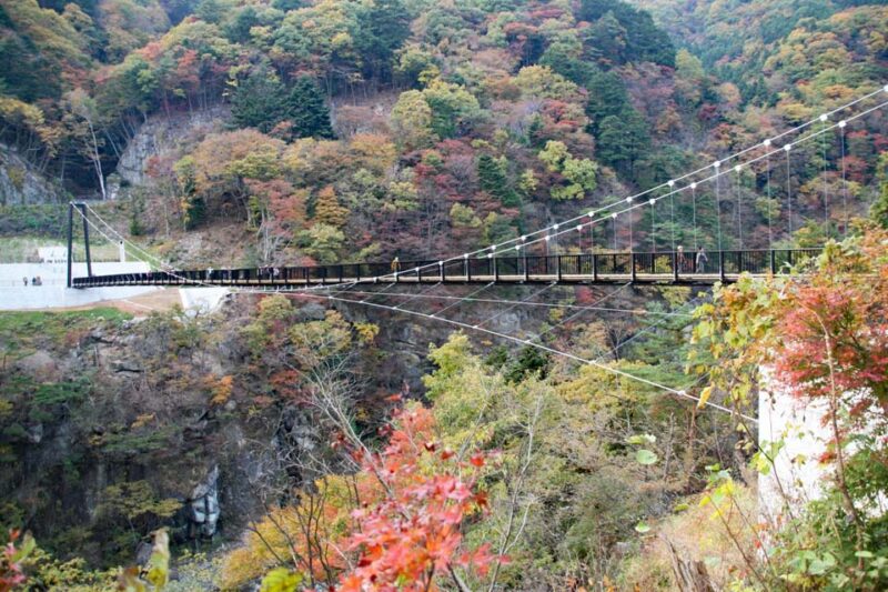 鬼怒川　鬼怒楯岩大吊橋