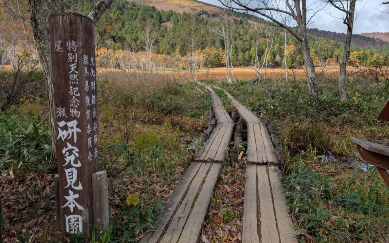 尾瀬 研究見本園 入口