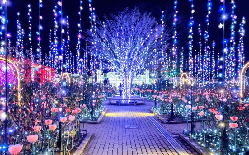 光のバラ園