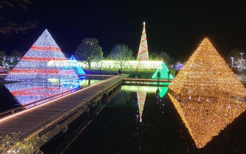 栃木　あしかがフラワーパーク　光のピラミッド