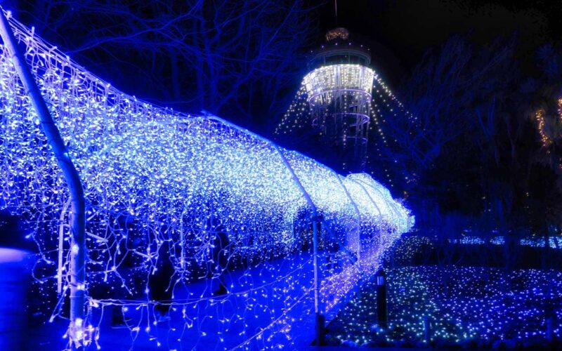 江の島　イルミネーション　光のトンネル