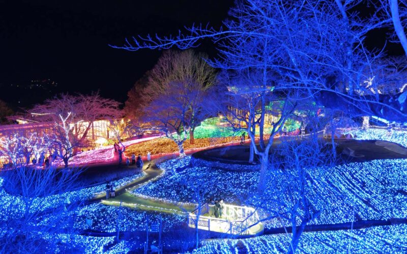 さがみ湖　イルミリオン　光の森