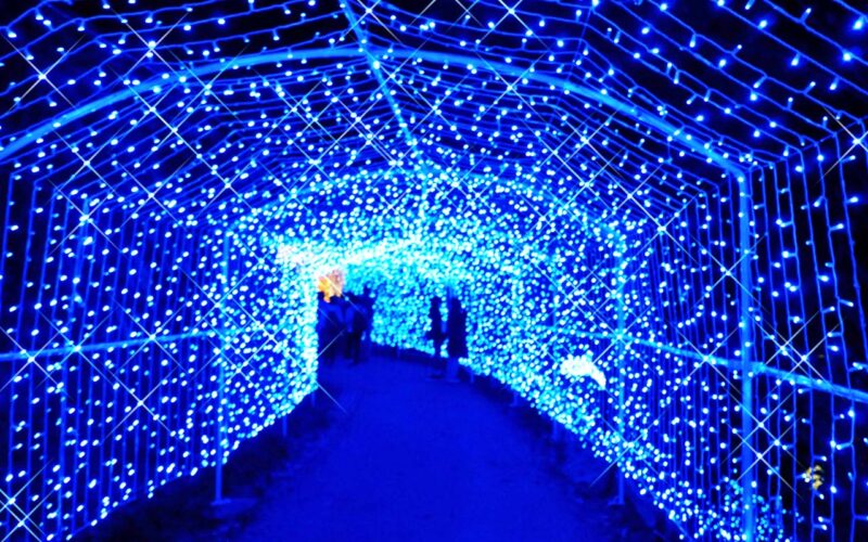 さがみ湖　イルミリオン　光の大トンネル