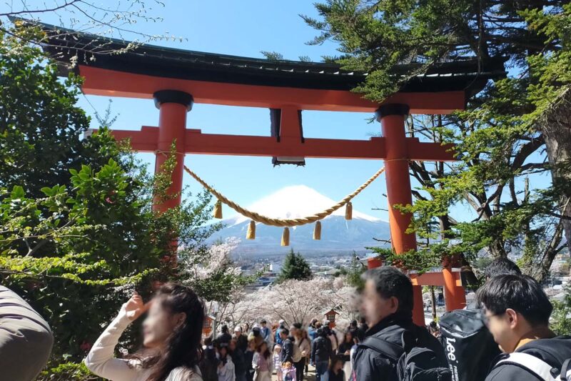 新倉富士浅間神社　鳥居の間から見える富士山