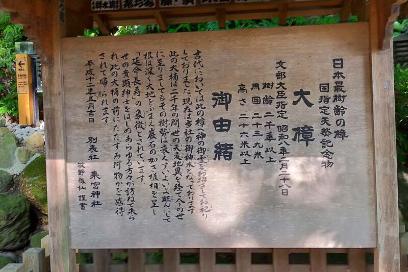 熱海　来宮神社　大楠　ご由緒