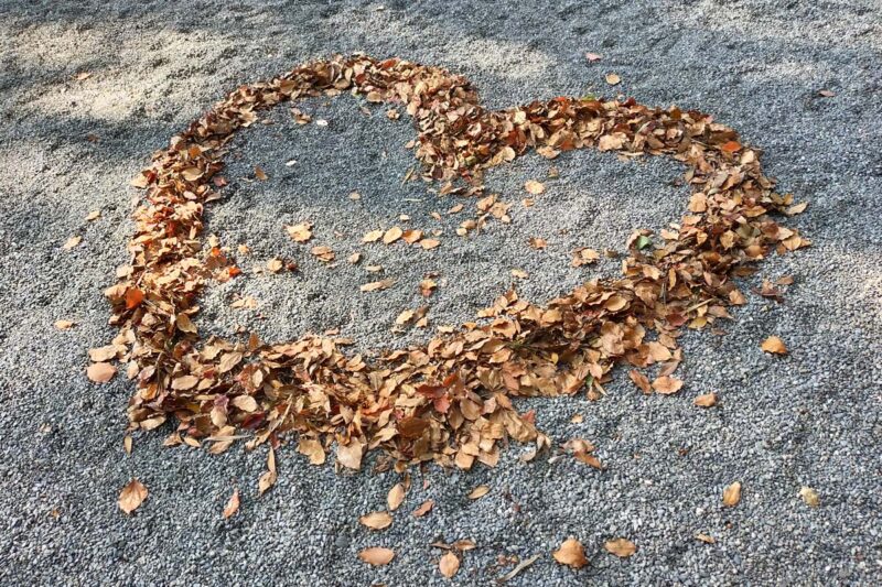 熱海　来宮神社　落ち葉で作ったハートマーク
