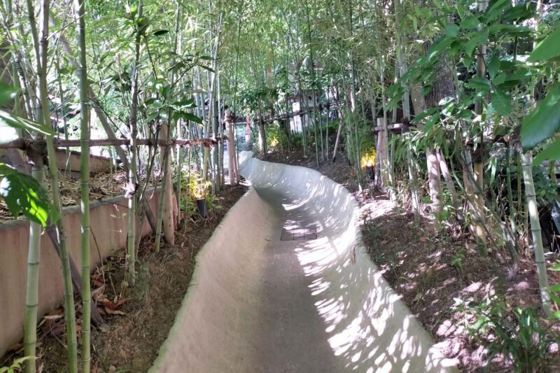 熱海　来宮神社　「楠への小路」