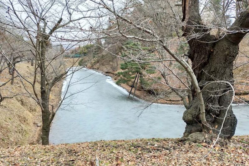 長野　上田城跡公園　冬景色