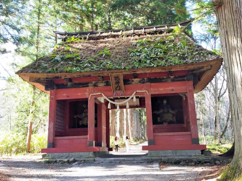 長野　戸隠神社　奥社　随神門
