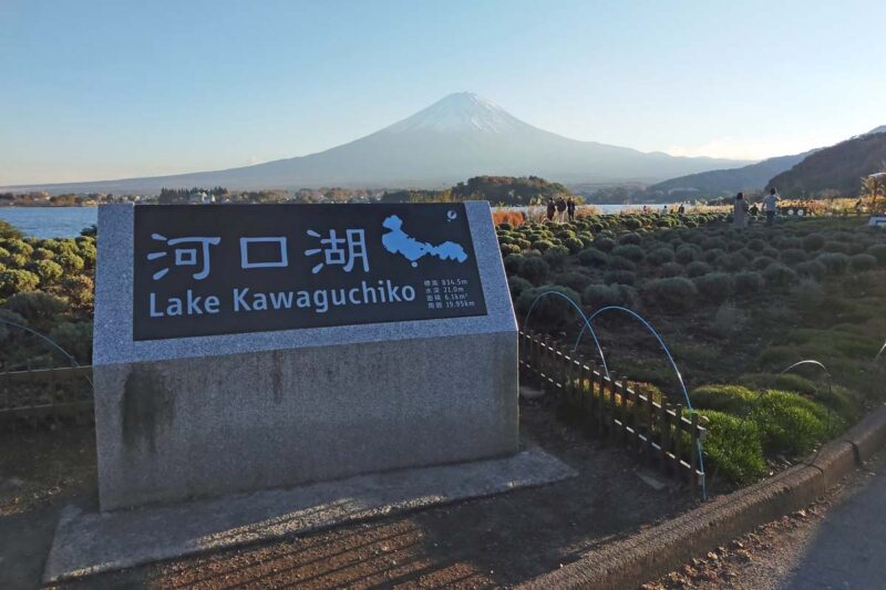 河口湖　大石公園　富士山ビュースポット