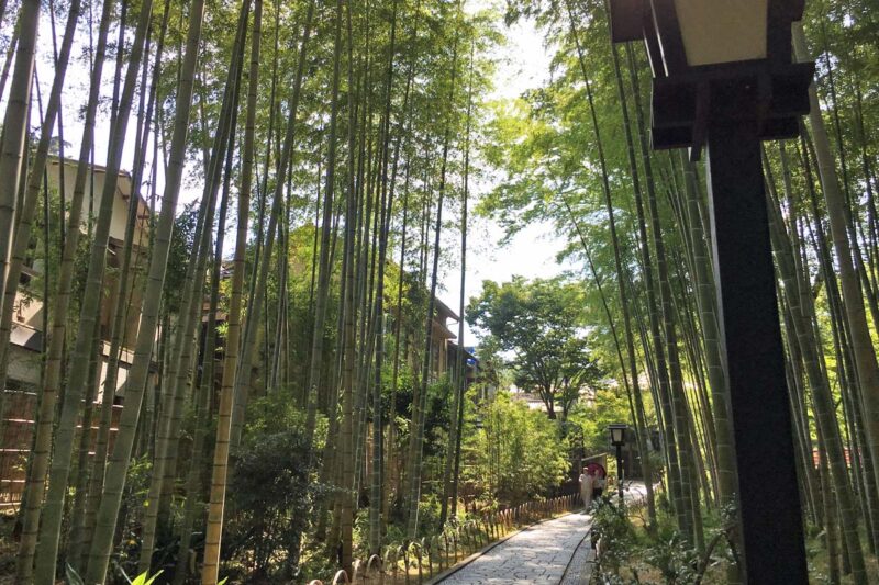 修善寺 竹林の小径