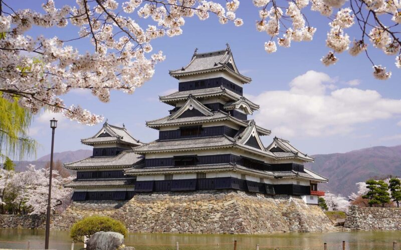 松本城 黒い天守と満開の桜