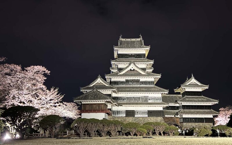 松本城　夜桜