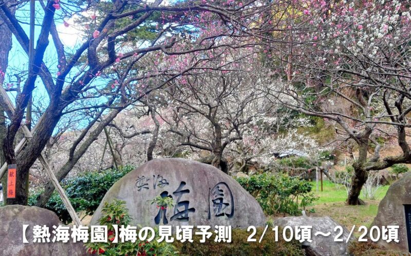 熱海梅園