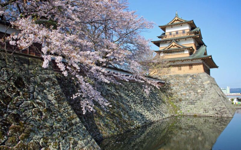 諏訪 高島城 満開の桜