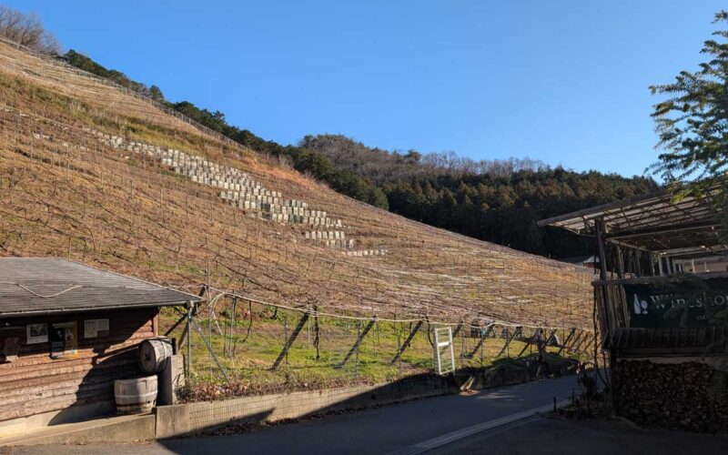 ココ・ファーム・カフェ 冬の葡萄畑