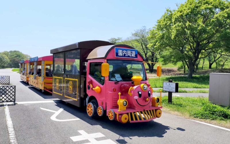 国営ひたち海浜公園 シーサイドトレイン