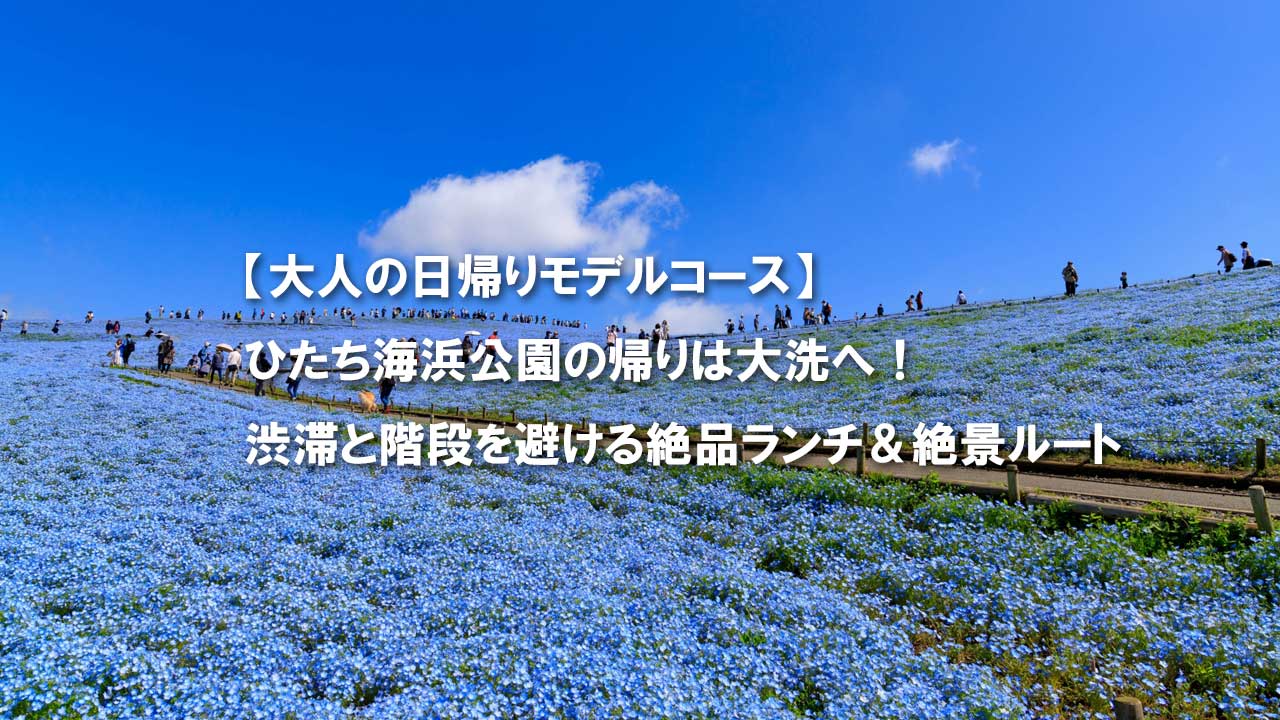 国営ひたち海浜公園　ネモフィラ