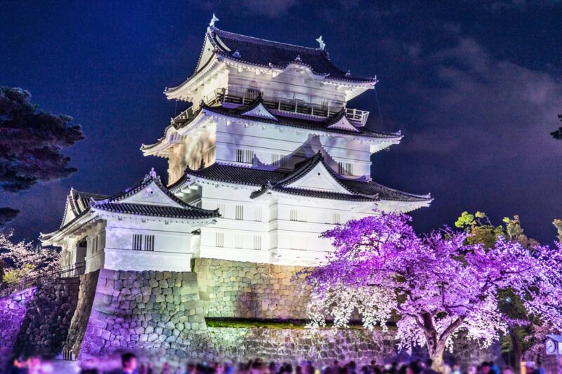 小田原城　ライトアップ