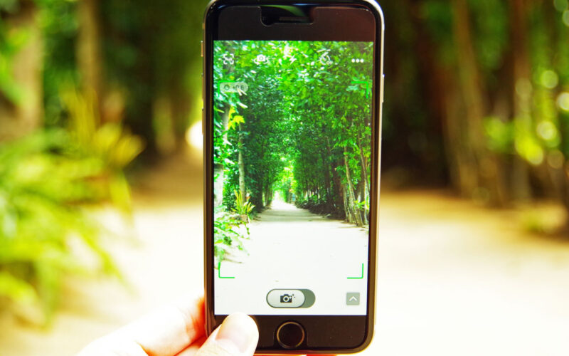 SNSで投稿をチェック