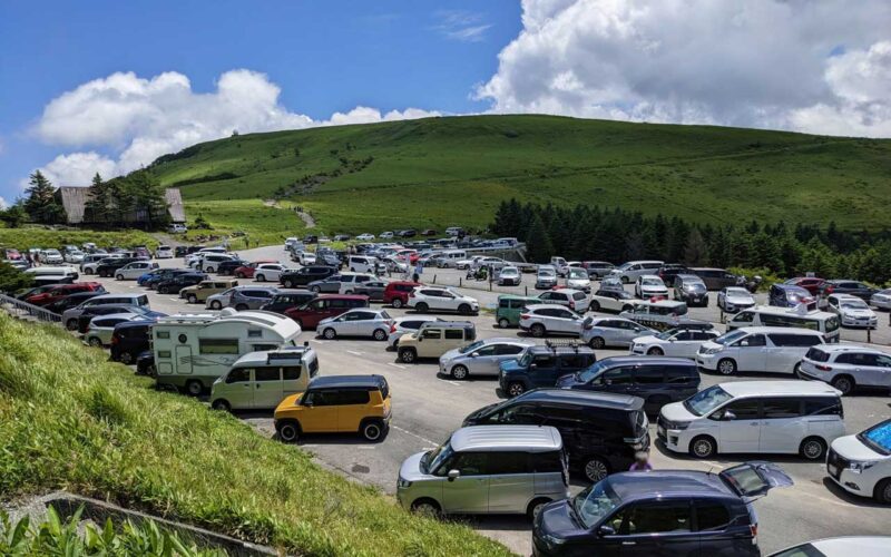 見頃を迎えた人気の観光スポットの駐車場は大混雑