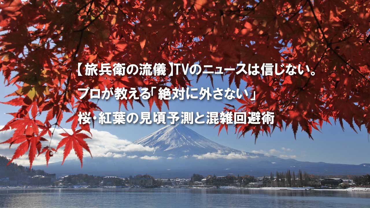 旅兵衛の流儀　絶対の外さない見頃予測