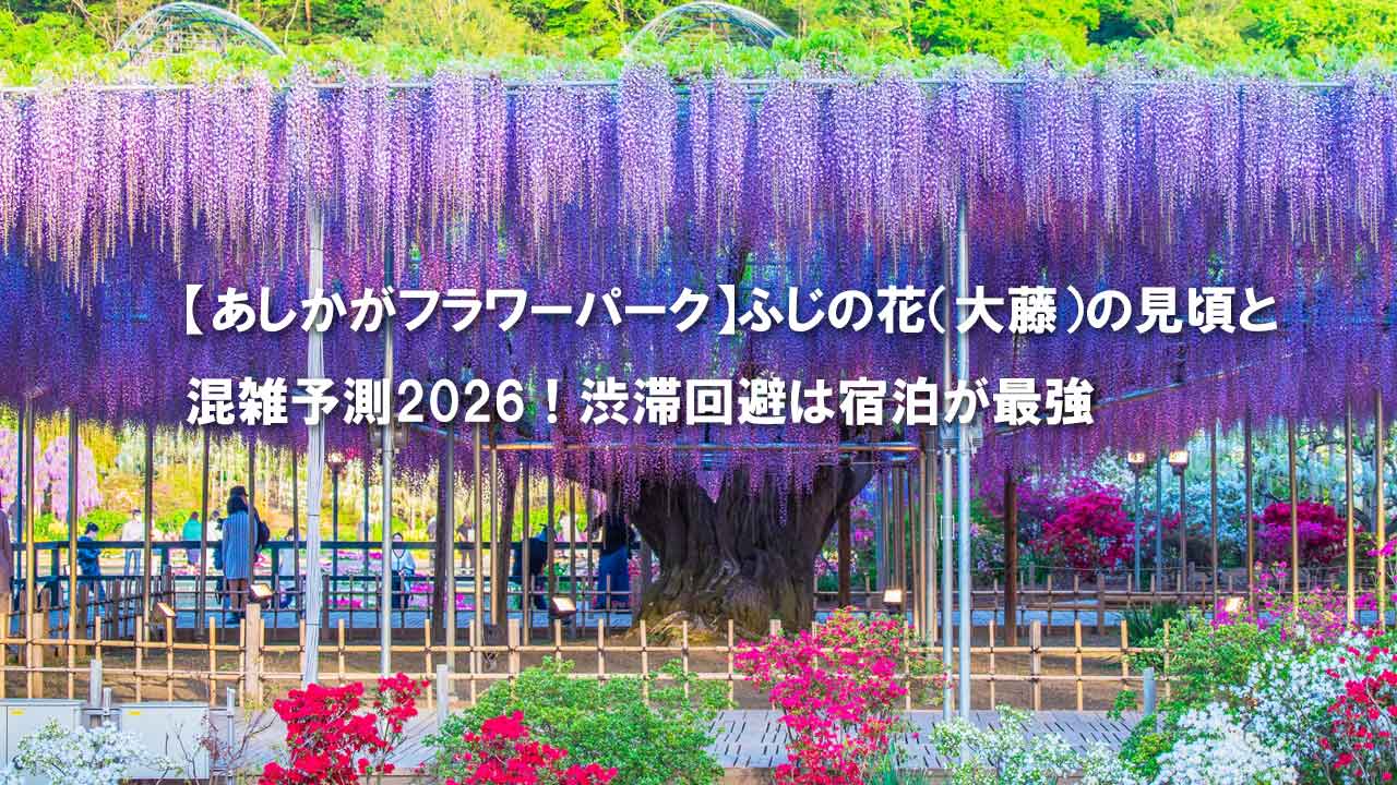 あしかがフラワーパーク　大藤