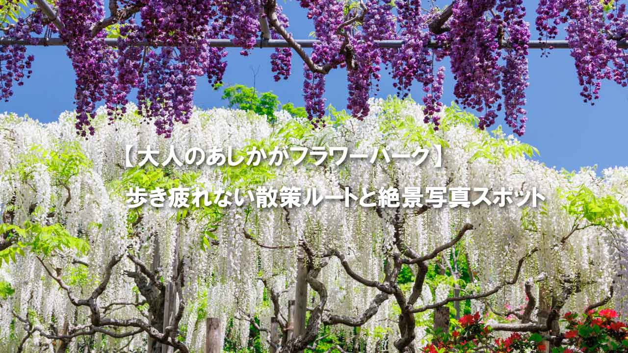 あしかがフラワーパーク