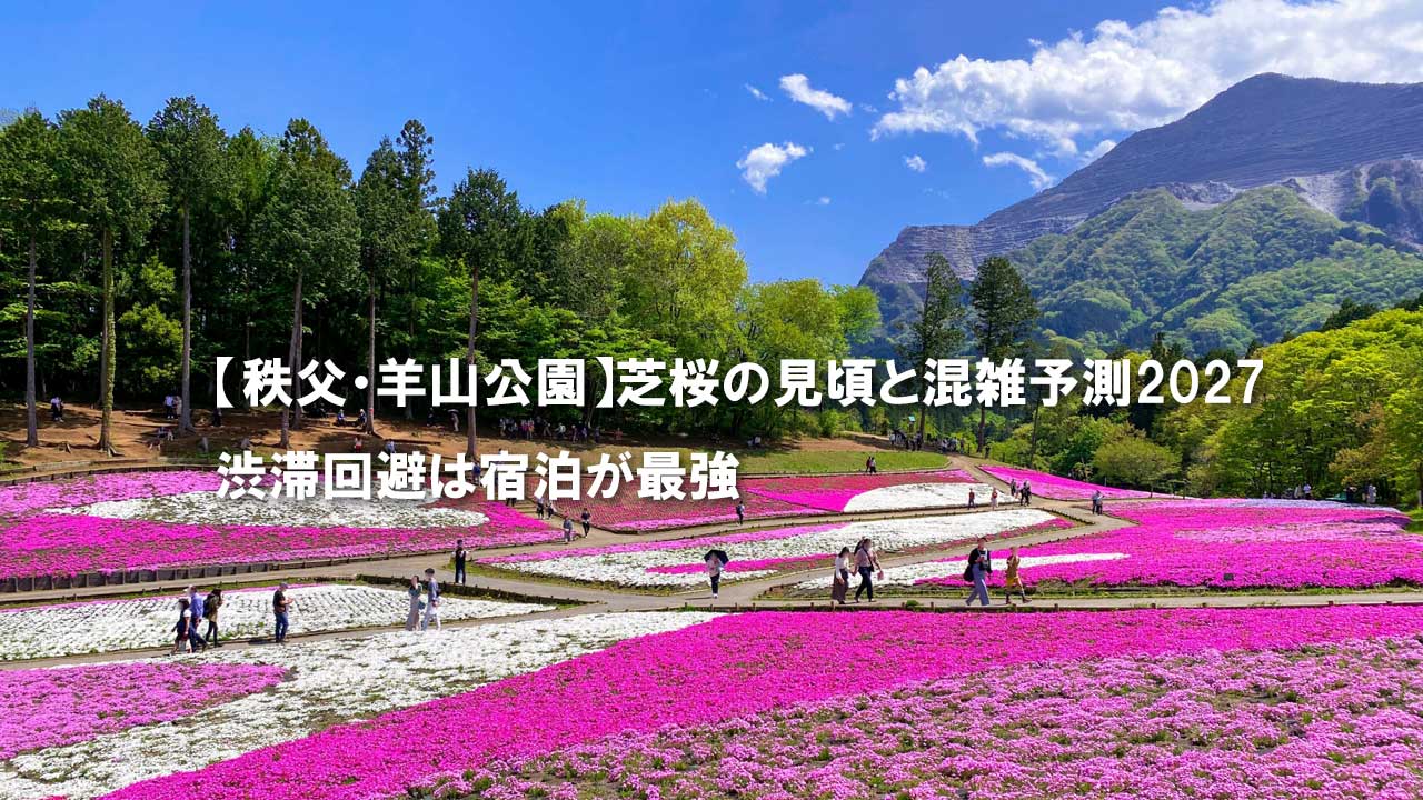 秩父　羊山公園