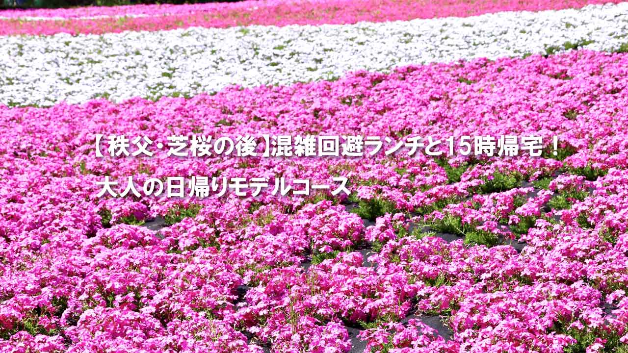 秩父　羊山公園