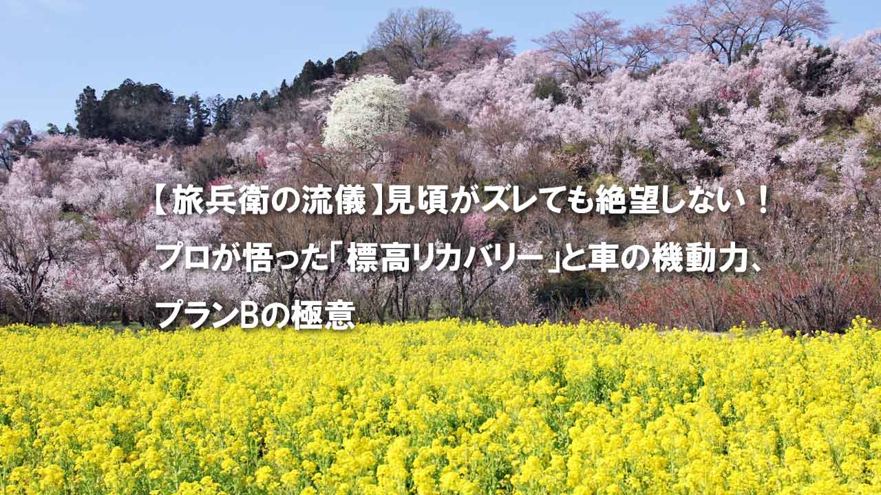 福島　花見山公園