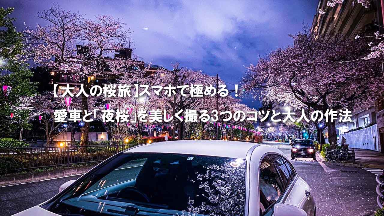 愛車と夜桜