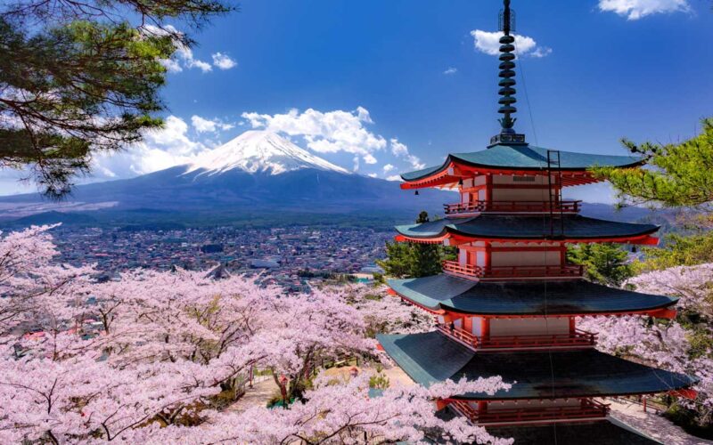 新倉山浅間公園 展望台からの桜と富士山と五重塔