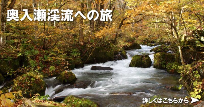 奥入瀬渓流への旅